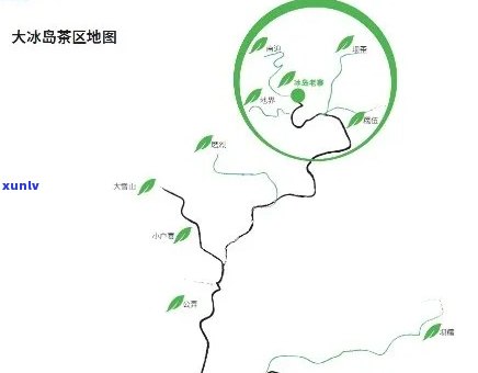 冰岛古树茶：属哪个产区？产地、种类及地理位置全揭秘