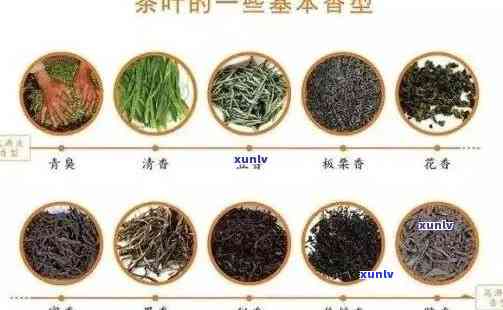 什么茶叶喝着甜甜的？探究口感甜美的茶品种推荐