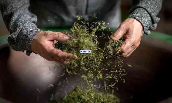 什么茶叶是发酵过的茶？包含发酵茶类、茶水与茶叶，详解各类发酵茶叶