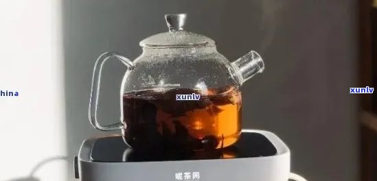 什么茶叶适合蒸煮：详细解析适合蒸煮的各种茶叶