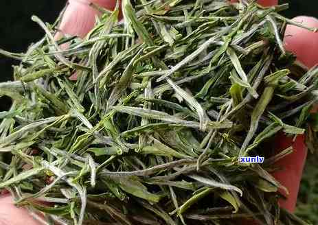 哪种茶叶最绿，探索绿茶世界：哪种茶叶颜色最翠绿？