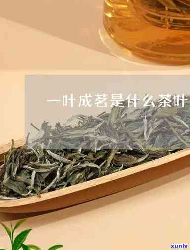 一叶成茗茶叶价格表-一叶成茗茶叶多少钱