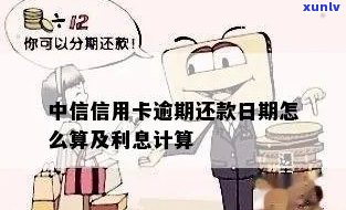 中信银行逾期欠款利息计算  及结果解析