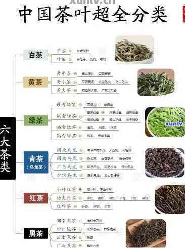 上海的特产茶叶：品种、与排名全揭秘