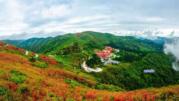 阳明山，探索自然美景：阳明山公园之旅