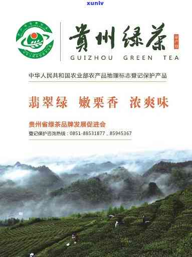 贵州茶叶：名茶排名、数字化交易中心与官方网站一览