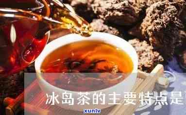 冰岛茶的品质特点是-冰岛茶的品质特点是什么