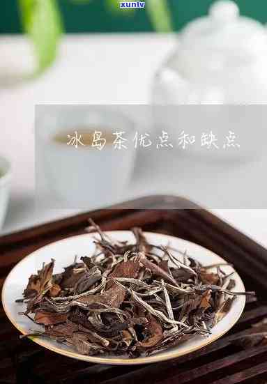 冰岛茶的品质特点是-冰岛茶的品质特点是什么