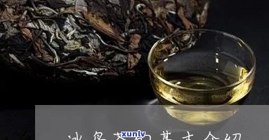 冰岛茶的品质特点是-冰岛茶的品质特点是什么