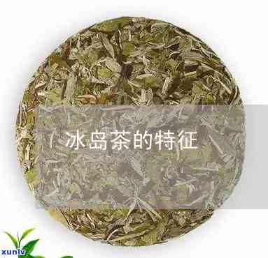 冰岛茶的品质特点是-冰岛茶的品质特点是什么