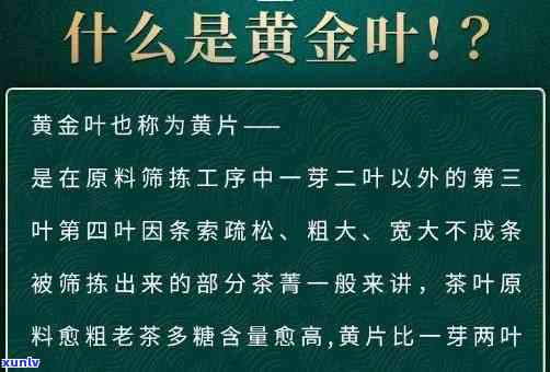 冰岛黄金叶是秋茶吗还是秋叶，澄清疑惑：冰岛黄金叶是秋茶还是秋叶？