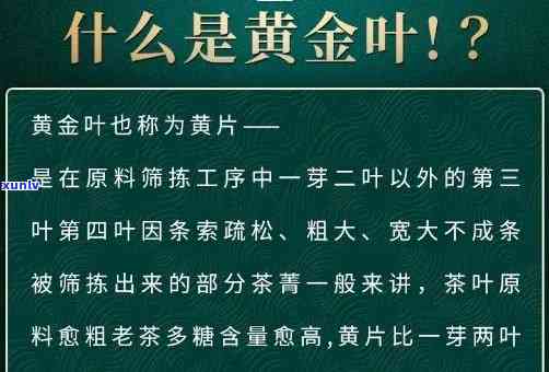 冰岛黄金叶是秋茶吗-冰岛黄金叶是秋茶吗还是冬茶