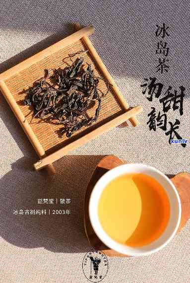 冰岛茶诗文，探索冰岛茶的诗意世界：一场文化的旅程