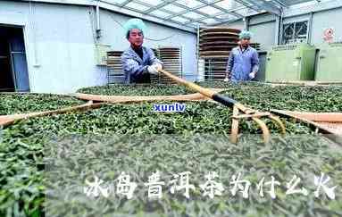 冰岛专家炒茶怎么样-冰岛专家炒茶怎么样啊