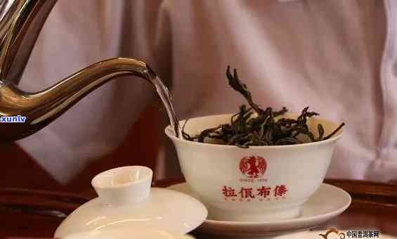 冰岛金毫熟茶怎么泡好喝，「冰岛金毫熟茶」冲泡 *** 大揭秘！如何泡出喝的口感？