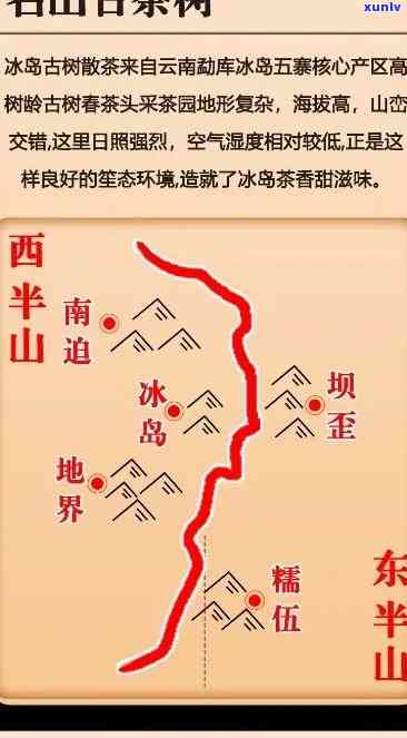 冰岛属于易武产区吗，揭秘茶叶知识：冰岛茶，属于易武产区吗？