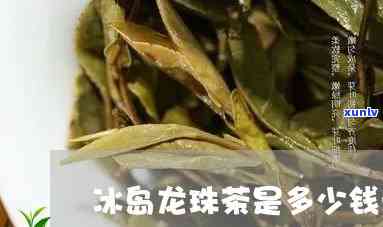 冰岛古树龙珠茶多少钱一斤，探寻神秘的冰岛古树龙珠茶：市场价格解析