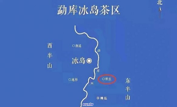 坝卡与冰岛：地理位置、口感比较及古树茶品种全解析