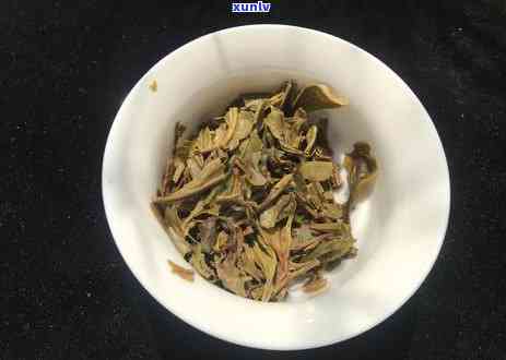 冰岛300年古树茶2013年，探究冰岛300年古树茶的历与价值：2013年的发现与研究