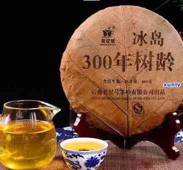 冰岛300年古树茶是什么茶，探秘冰岛300年古树茶：历悠久的珍贵茗品