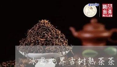 冰岛地界古树茶产量-冰岛地界古树茶产量多少