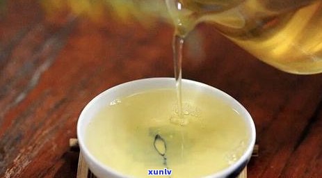 冰岛哪里的茶？探寻更优选茶区与