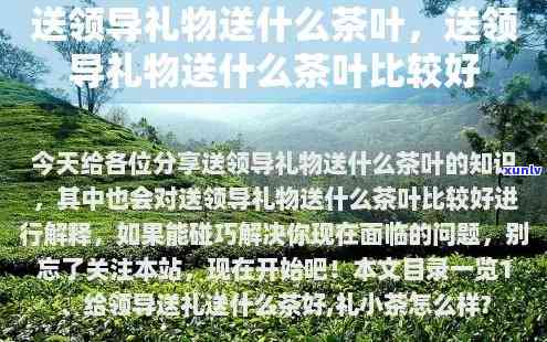 送什么茶叶给领导好-送礼不能送茶叶的原因