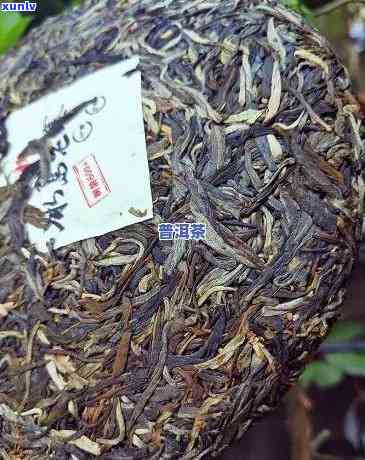 冰岛老寨普洱茶生茶价格：几万一公斤？