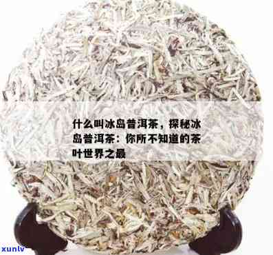 质量好普洱茶价格表