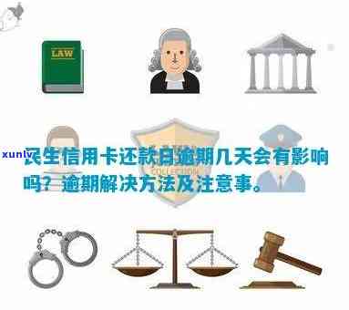 全面解析：福鼎老班章加盟门槛与相关费用