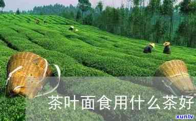 茶叶面食用什么茶好-茶叶面食用什么茶好喝