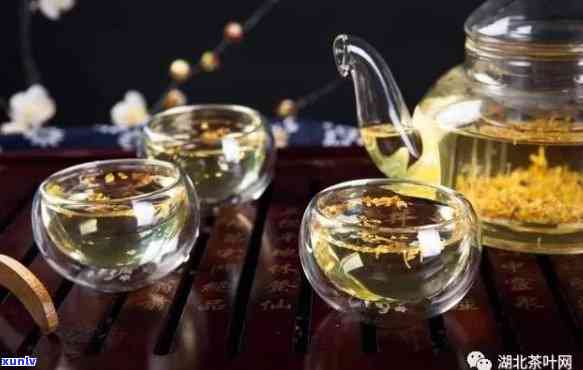 蒸茶什么茶？养肝脾胃效果好的茶叶推荐！