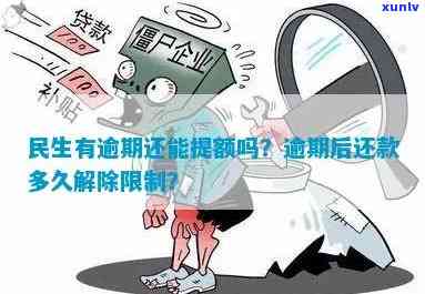 民生逾期几天取消分期-民生逾期后还款多久解除限制