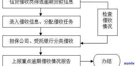 民生逾期流程，深入熟悉民生逾期流程：步骤、策略与留意事