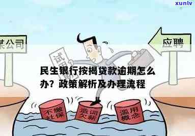 民生贷款逾期怎么解决的，应对民生贷款逾期：实用解决策略与建议