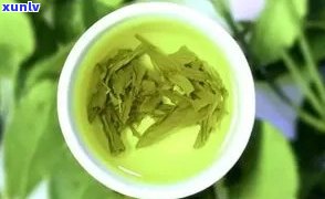 什么茶叶降火比较好喝？探讨不同茶类的降火效果与口感