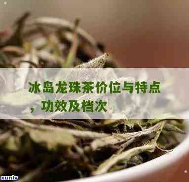 冰岛龙珠茶价格贵不贵，揭秘冰岛龙珠茶的价格：是否真的贵重无比？