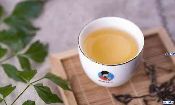 新手喝茶什么茶叶好喝？一份全面的新手茶饮指南