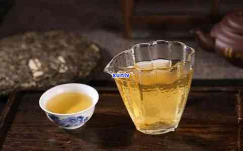 新手喝茶什么茶叶好喝？一份全面的新手茶饮指南