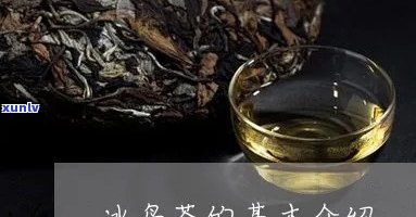 老冰岛茶有什么作用-老冰岛茶有什么作用和功效