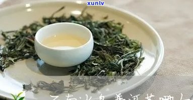 云南冰岛茶哪个好，推荐：云南冰岛茶哪家？