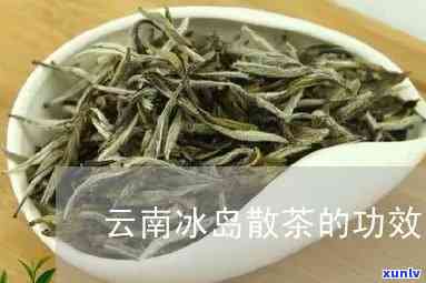 云南冰岛散茶哪家好-云南冰岛散茶哪家好喝