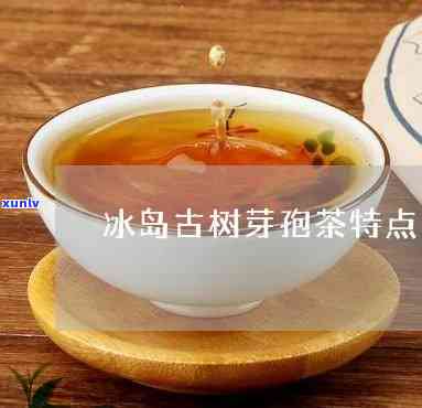 新 如何使用小青柑普洱茶泡制器：步骤与技巧详解