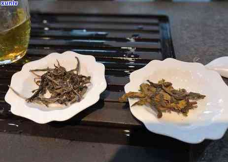 冰岛青茶的工艺特点-冰岛青茶的工艺特点是什么