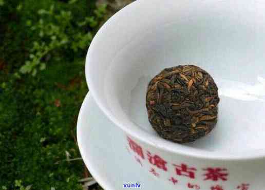 澜沧古茶冰岛丹珠，探秘神秘的澜沧古茶冰岛丹珠：一场味蕾与历的宴