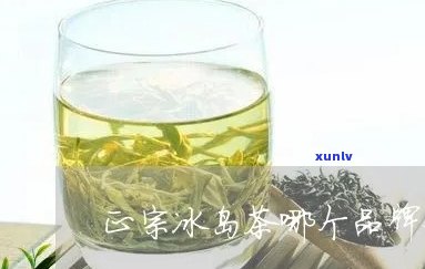 冰岛茶为什么好多杆-冰岛茶为什么好多杆菌