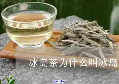 冰岛茶为什么好多杆-冰岛茶为什么好多杆菌