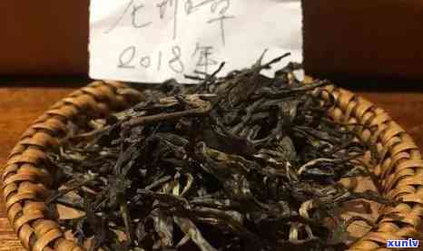 云南普洱冰岛古树茶价格：生茶、熟茶、收藏价值全解析