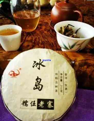 冰岛地界普洱茶的特点，探秘冰岛地界的独特风味：普洱茶的魅力所在