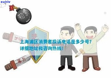 上海民生投诉：热线  、疑问反馈与咨询服务全攻略